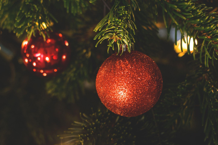 The History Behind the Christmas Tree with Lights