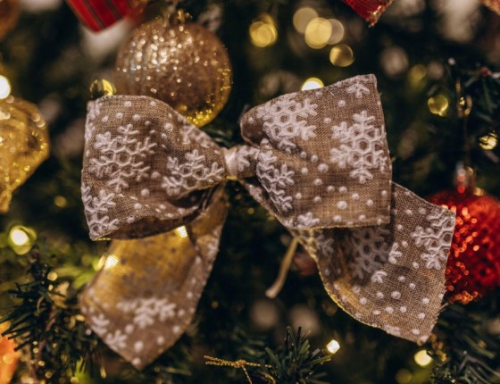 Celebrate Savings with Christmas Clearance Deals