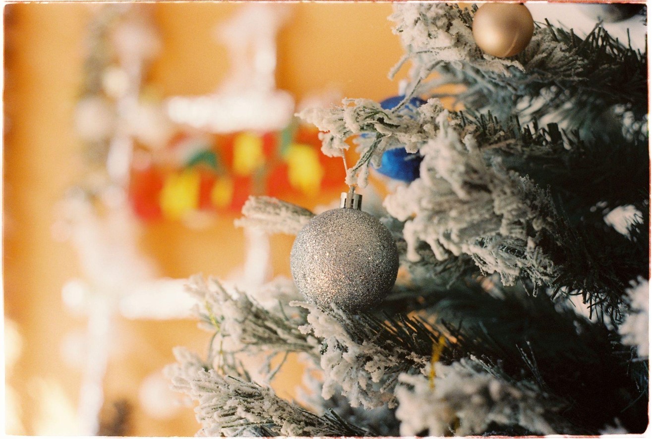 Celebrate Love and Family with the King of Christmas